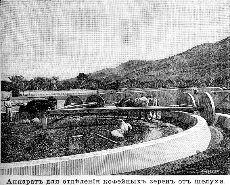 529 Аппарат для отделения кофейных зерен от шелухи